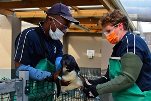 The road to recovery