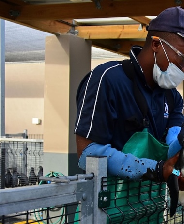 The road to recovery