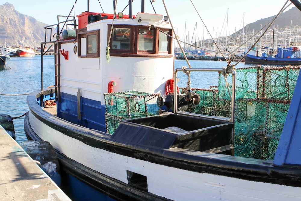 WCRL season extended as an olive branch to small-scale fishers