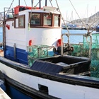 WCRL season extended as an olive branch to small-scale fishers