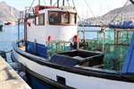 WCRL season extended as an olive branch to small-scale fishers
