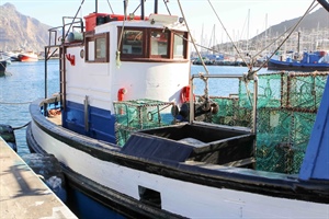 WCRL season extended as an olive branch to small-scale fishers