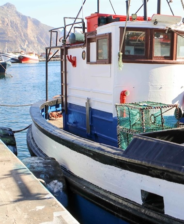 WCRL season extended as an olive branch to small-scale fishers
