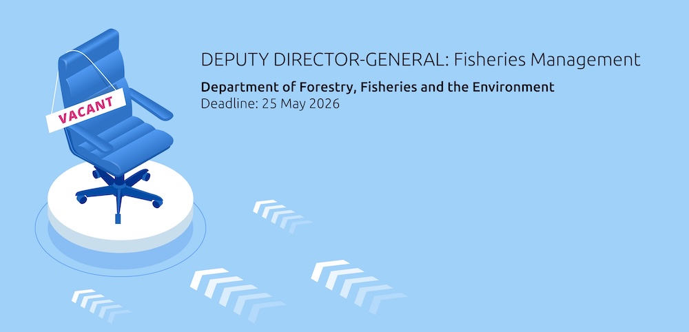 Addressing vacancies within the DFFE