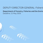Addressing vacancies within the DFFE