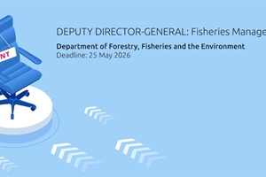 Addressing vacancies within the DFFE