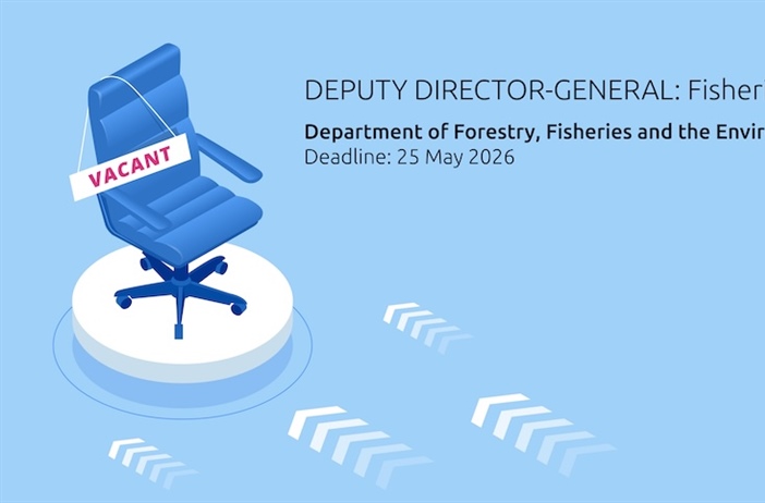 Addressing vacancies within the DFFE