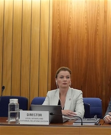 Funding makes global shipping climate talks accessible