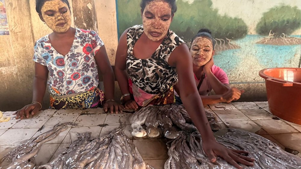 Extending the tentacles of fisheries conservation