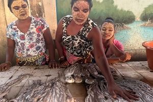 Extending the tentacles of fisheries conservation
