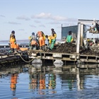 SANParks invites comment on west coast marine protected area plans