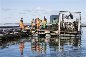 SANParks invites comment on west coast marine protected area plans