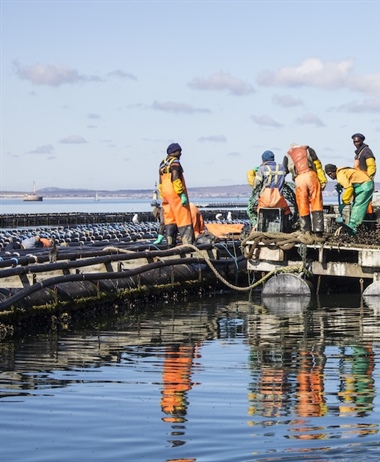 SANParks invites comment on west coast marine protected area plans