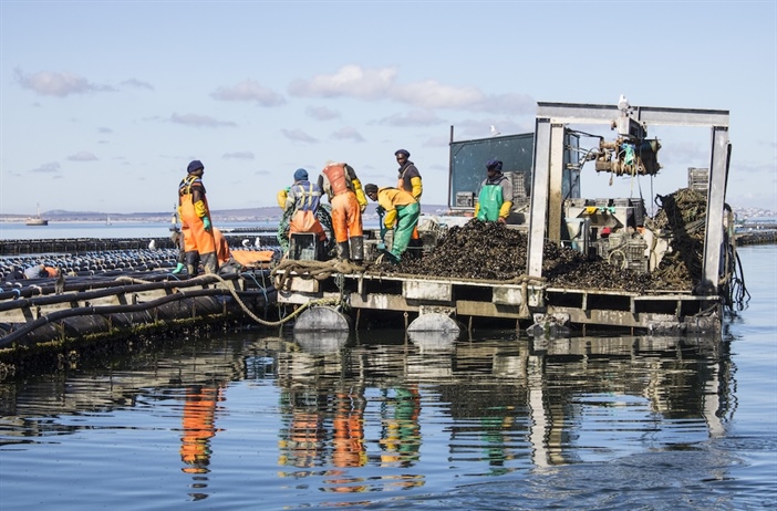 SANParks invites comment on west coast marine protected area plans