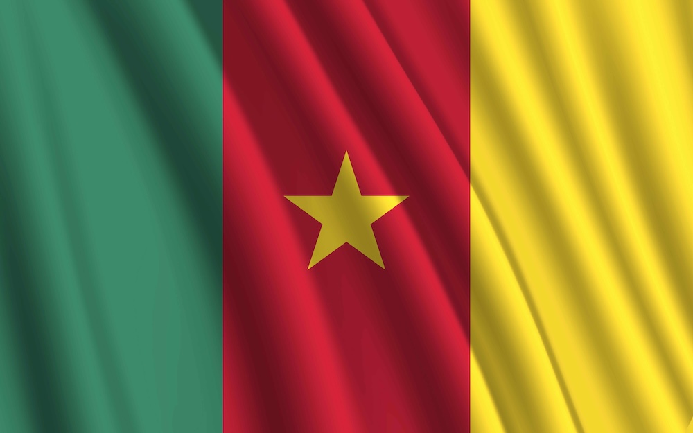 Cameroon moves to purge flag register of rogue vessels
