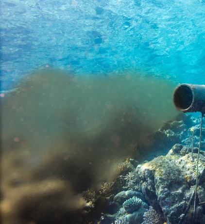 Fish processing discharge permits under review