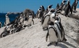 Positive penguin pairing