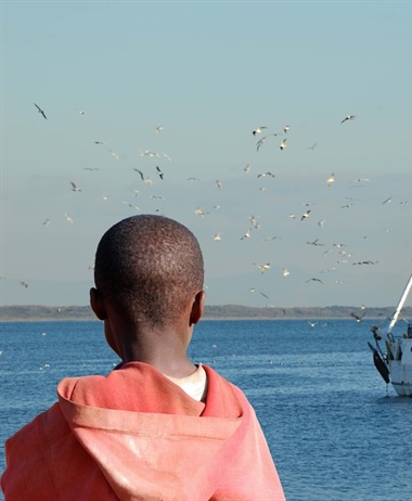 Progress made in programme to track authorised fishing vessels