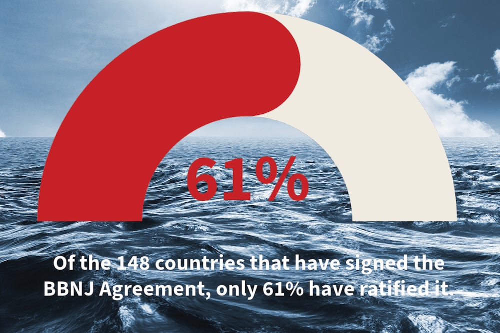 South Africa takes the next step to protect the high seas