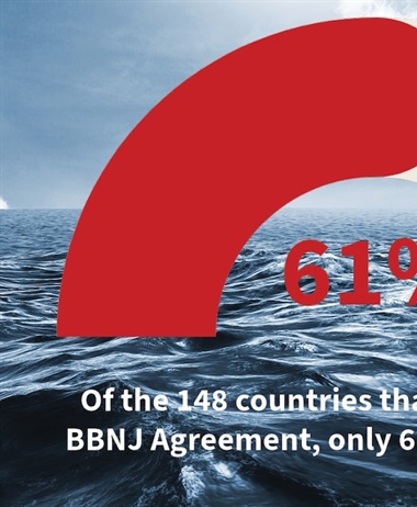 South Africa takes the next step to protect the high seas