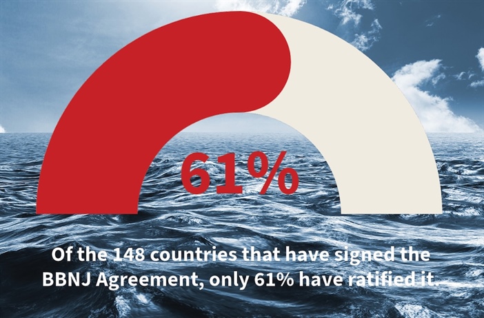 South Africa takes the next step to protect the high seas
