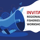African fisheries workshop to strengthen legal frameworks