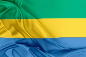 Gabon takes control of its flag