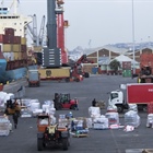Multi-purpose terminal concession issued