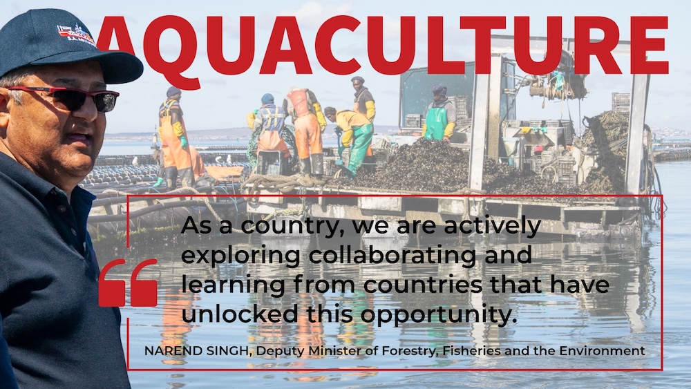 South Africa falling short of aquaculture potential, deputy minister admits