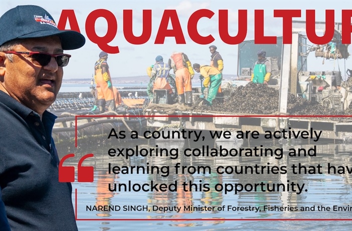 South Africa falling short of aquaculture potential, deputy minister admits