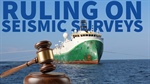 Two seismic survey rulings, one day apart, two opposite outcomes