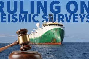 Two seismic survey rulings, one day apart, two opposite outcomes