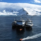 Scientists raise alarm on early fisheries closure