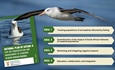 Roadmap aims to reduce seabird mortality
