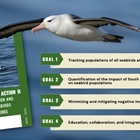 Roadmap aims to reduce seabird mortality