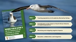 Roadmap aims to reduce seabird mortality