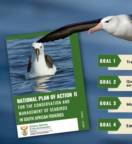 Roadmap aims to reduce seabird mortality