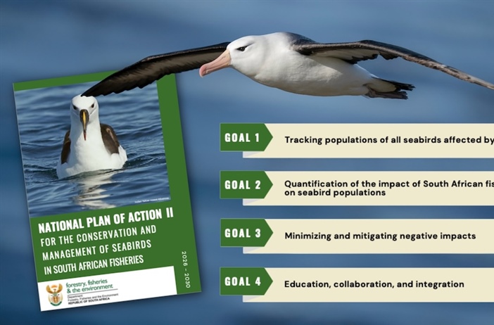 Roadmap aims to reduce seabird mortality
