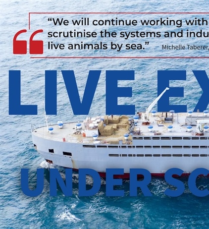 South Africans join global call to address livestock export risks