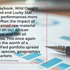 Diversified portfolio steadies the course