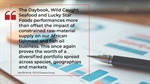 Diversified portfolio steadies the course