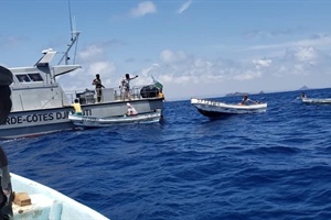Targeting piracy and developing capacity
