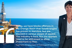 Oil companies call for regulatory interventions