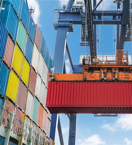 Cargo planners urged to take note of new overstay system
