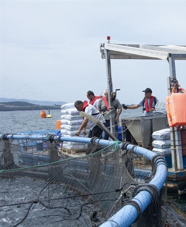 Developing aquaculture capacity