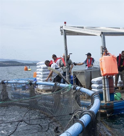 Developing aquaculture capacity