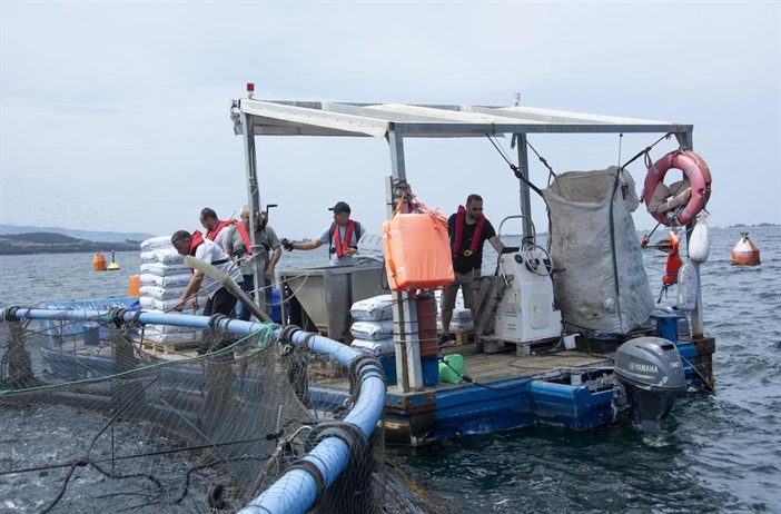 Developing aquaculture capacity