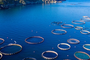 Government confirms commitment to prioritise aquaculture