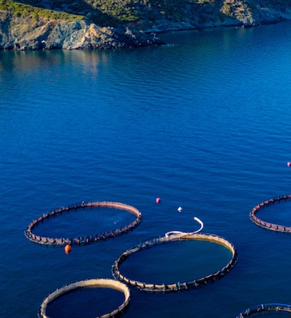 Government confirms commitment to prioritise aquaculture