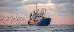 Minister publishes appeal decisions in hake deep-sea trawl sector